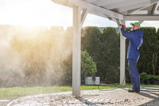Best Gutter Cleaning  in Dandridge, TN